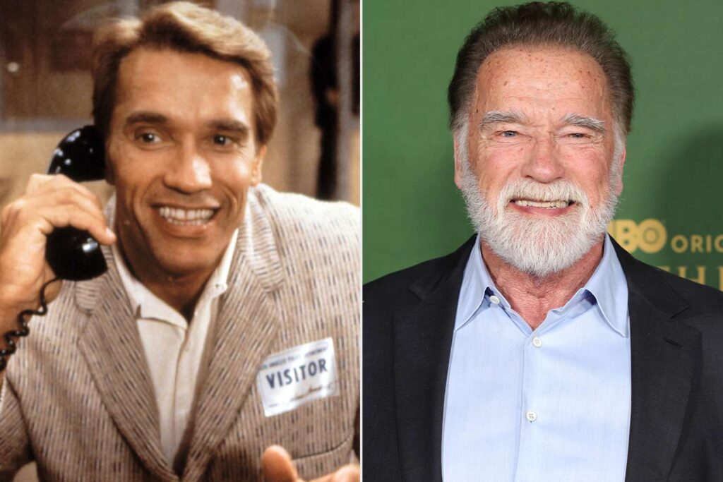 Arnold Schwarzenegger on Which of His Movies Made Him the Most Money