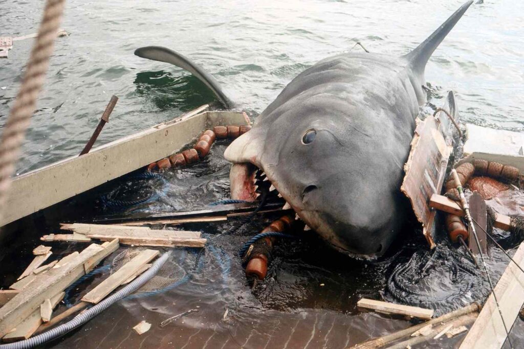 I Saw Jaws at the Movies 50 Years Ago. It Ruined the Beach for Me Forever