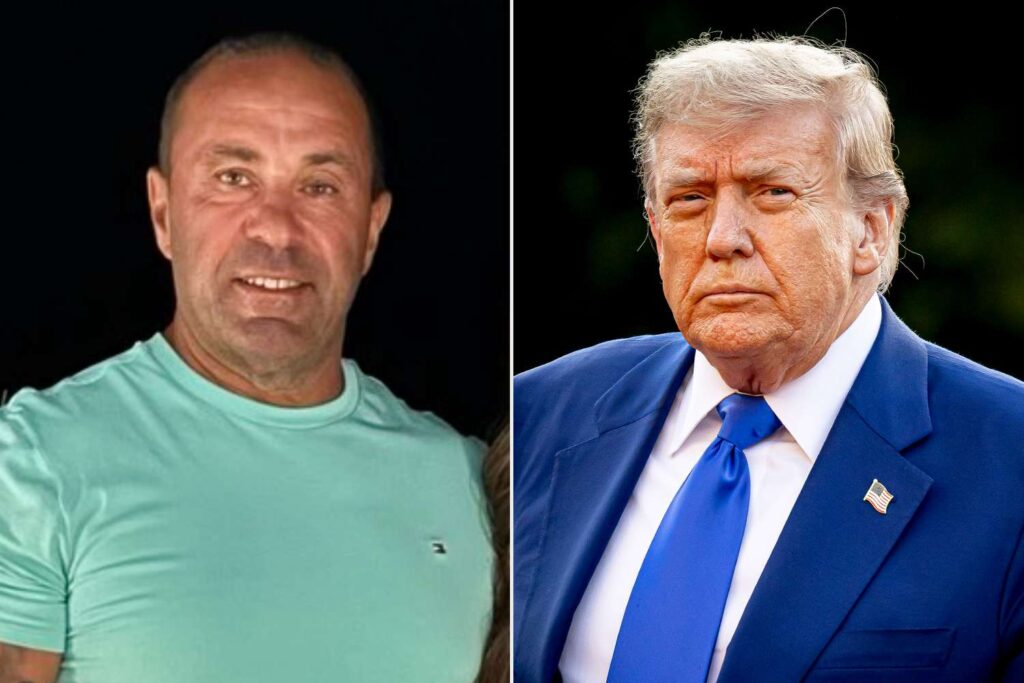 Joe Giudice Asks Trump for Presidential Pardon