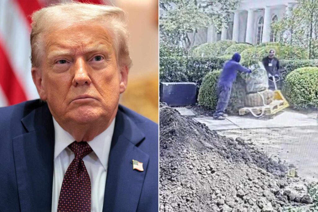 Donald Trump Banishes Contractor Over ‘Gash’ in Patio in White House Rose Garden: Watch