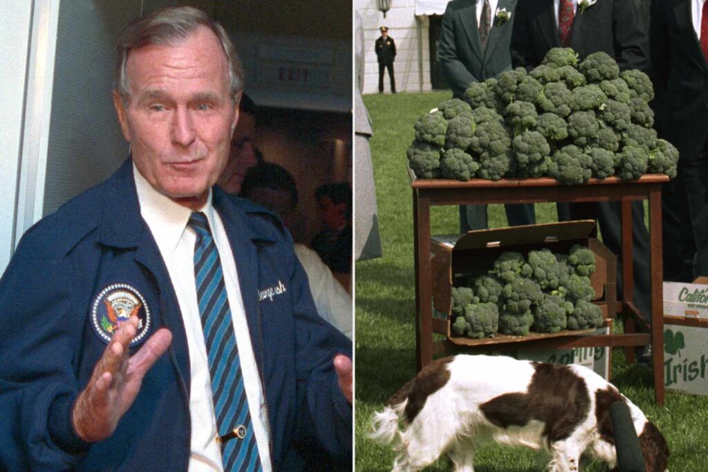 How George H.W. Bush’s Air Force One Broccoli Prank Became a Lifelong Punchline