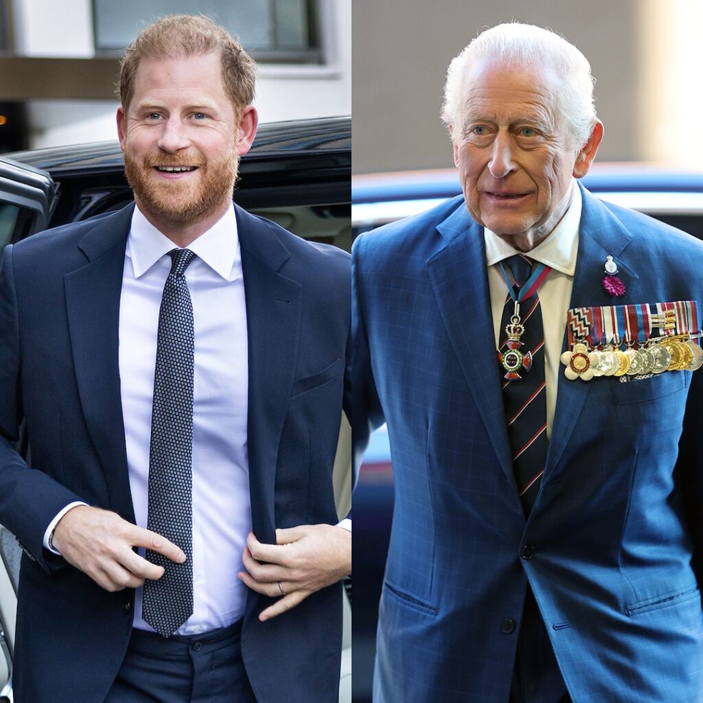 Prince Harry on King Charles Reunion Rumors