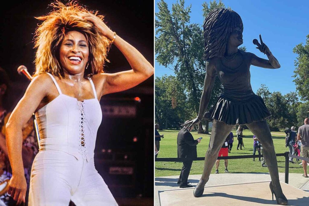 Tina Turner Fans Blast New Statue Erected to Honor Late Singer