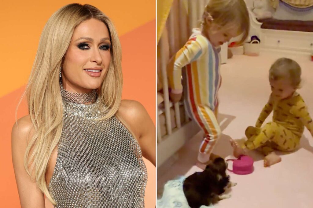 Paris Hilton’s Kids Have the Most Adorable Reaction to Family’s New ‘Fur Baby’