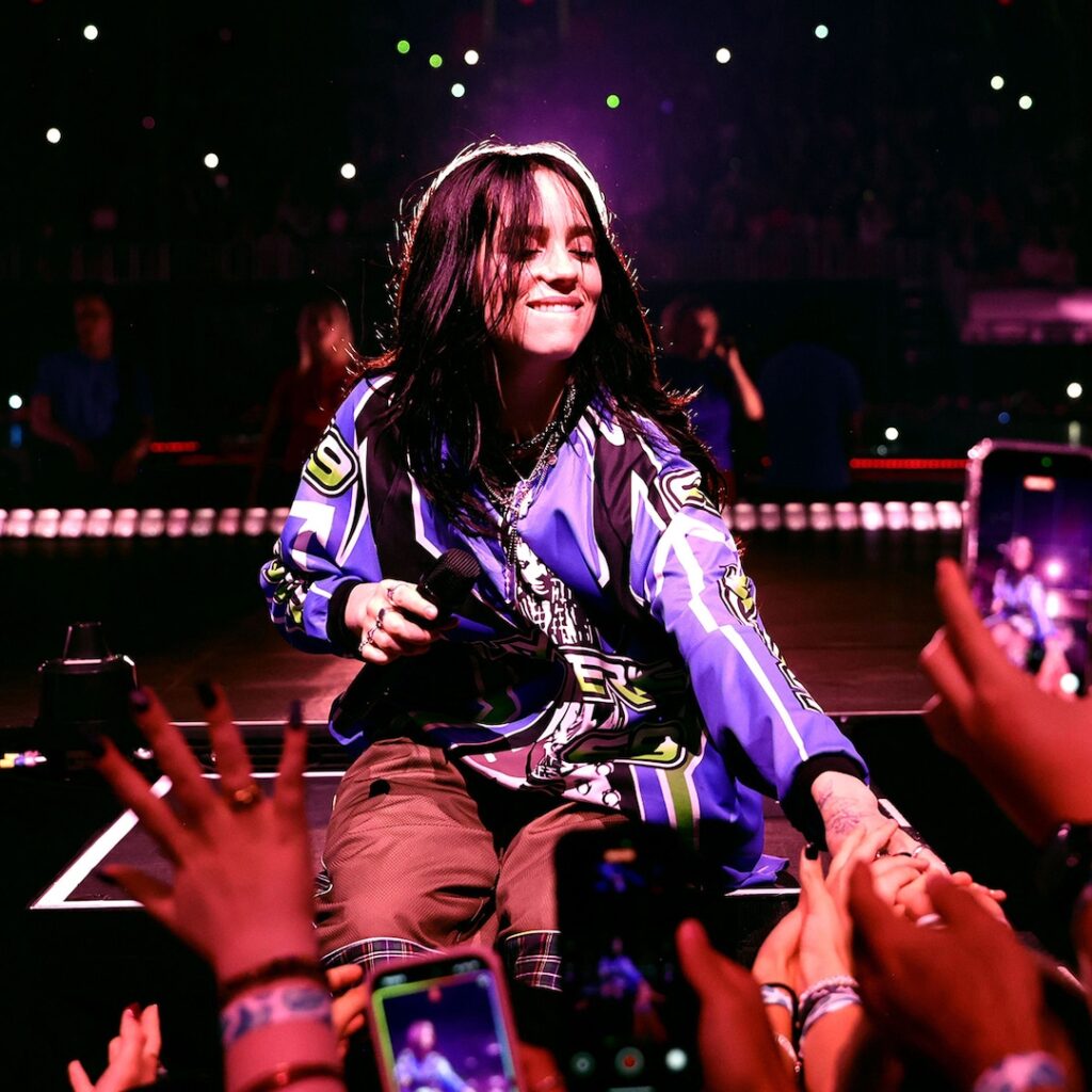 Billie Eilish Pulled by Fan at Miami Concert