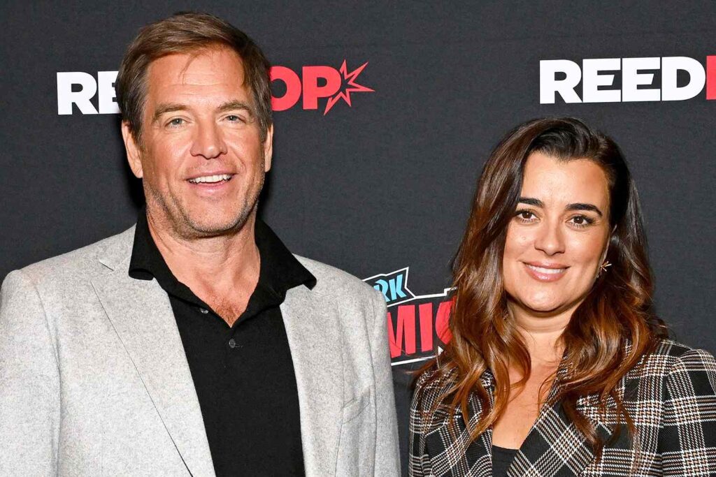 Cote de Pablo Found Making ‘Tony & Ziva’ ‘Very Healing’