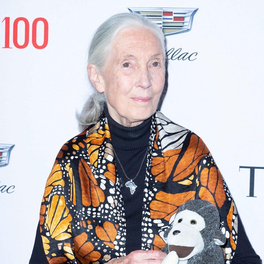 Jane Goodall Dead at 91