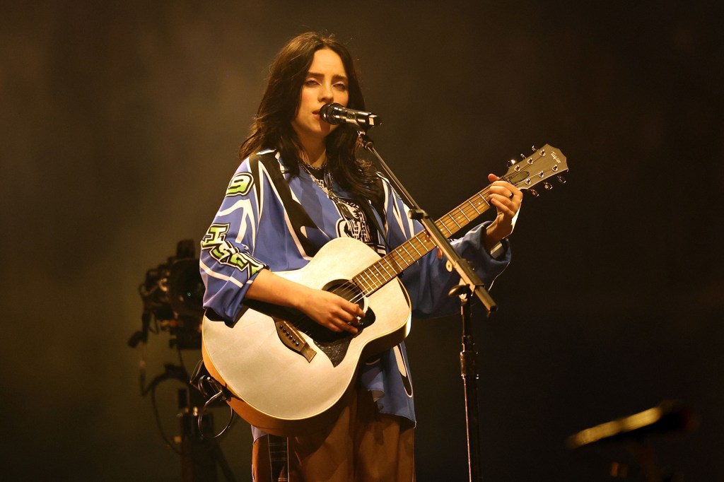 Billie Eilish Forcibly Grabbed & Shoved by Concertgoer at Miami Show