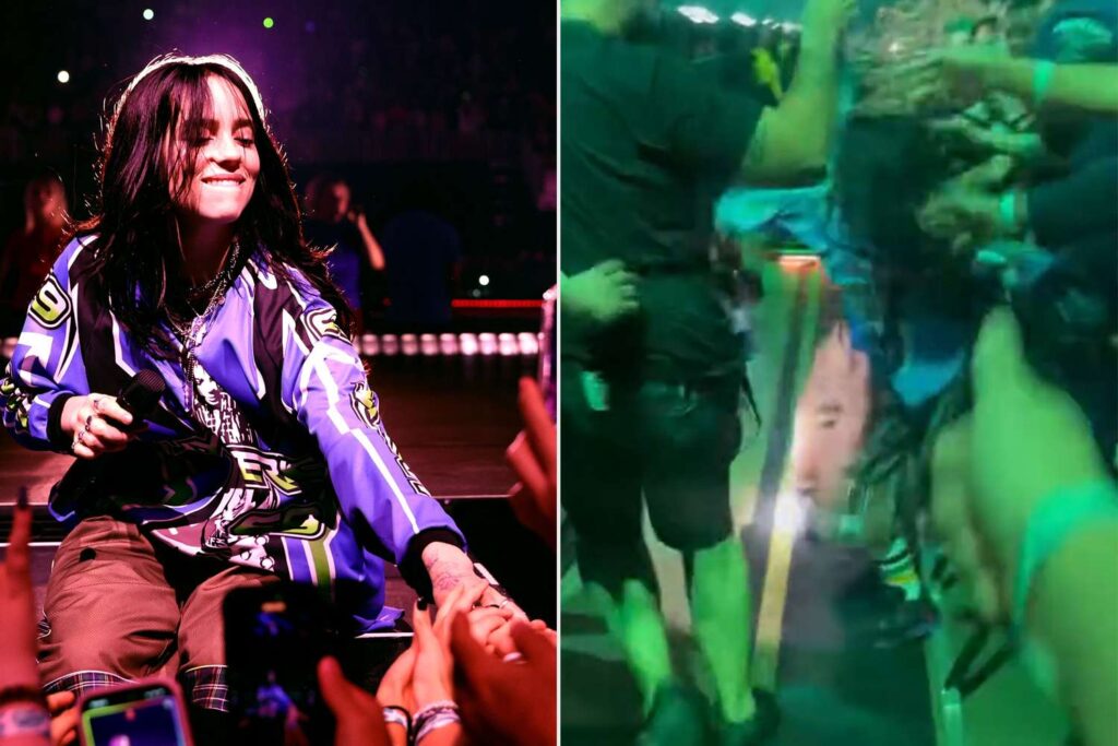 See Billie Eilish Violently Yanked by Fan on Miami Tour Stop
