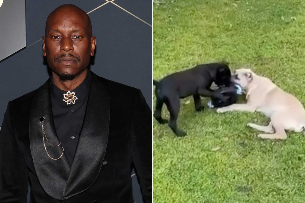 Tyrese Gibson Didn’t Turn Himself in to Police as Requested, Though Lawyer Says He’s ‘Cooperating Fully’