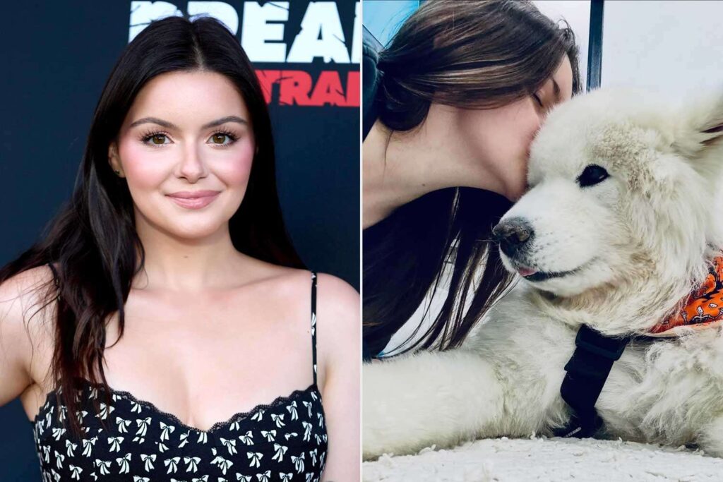 Ariel Winter Mourns the Death of Her Dog Casper: ‘First Baby’